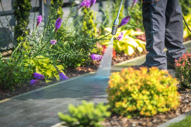 Best Fence Cleaning  in Mountain View Acres, CA